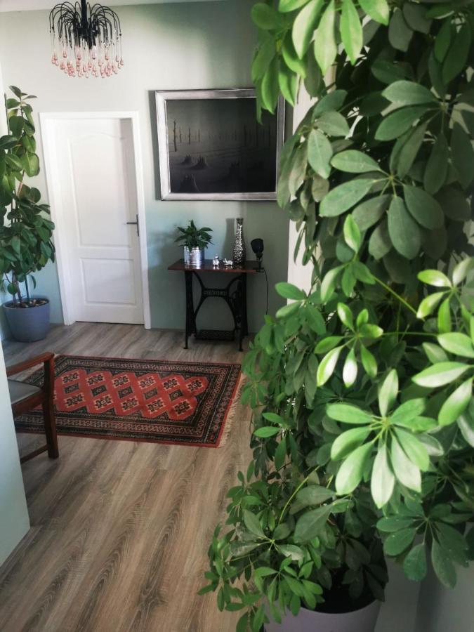 Sombor 19 Central Apartment 외부 사진