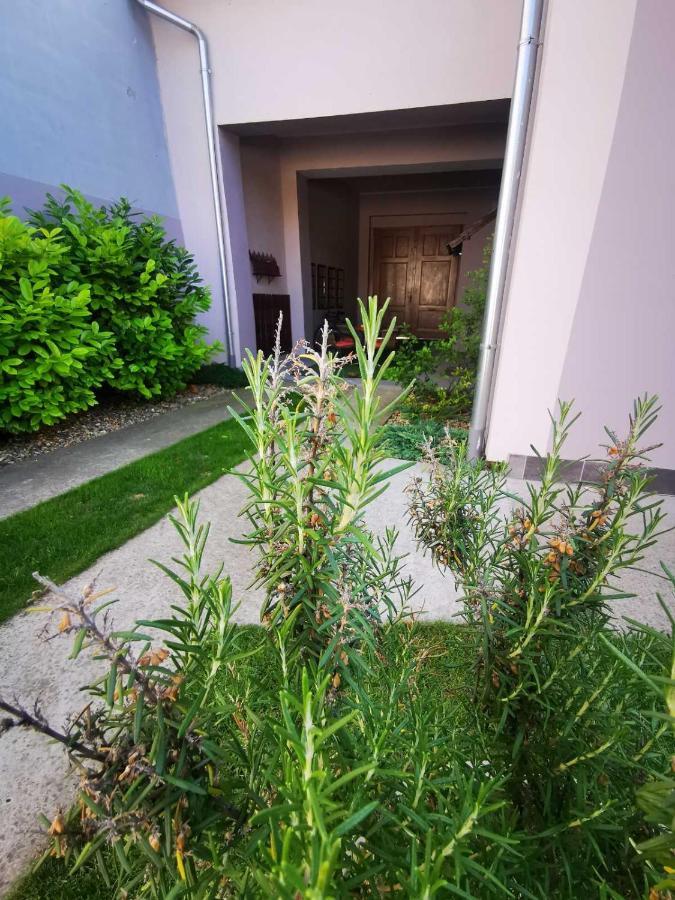 Sombor 19 Central Apartment 외부 사진