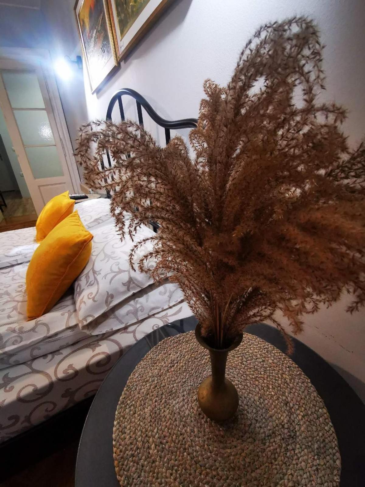 Sombor 19 Central Apartment 객실 사진